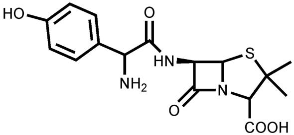 structure of amoxicillin